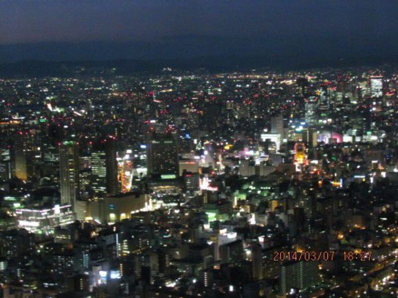 Osaka Private Tour - You see Dotombori and cluster of high-rise buildings.