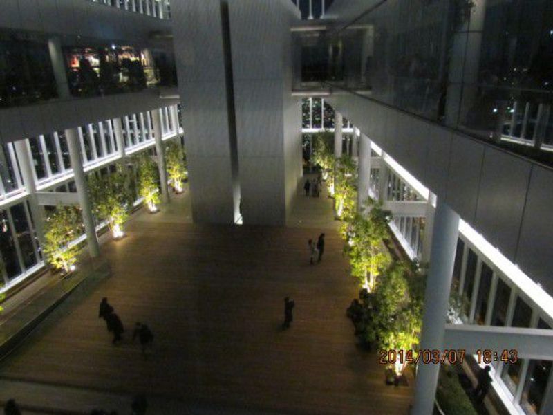 Osaka Private Tour - Sky Garden on the 58th floor