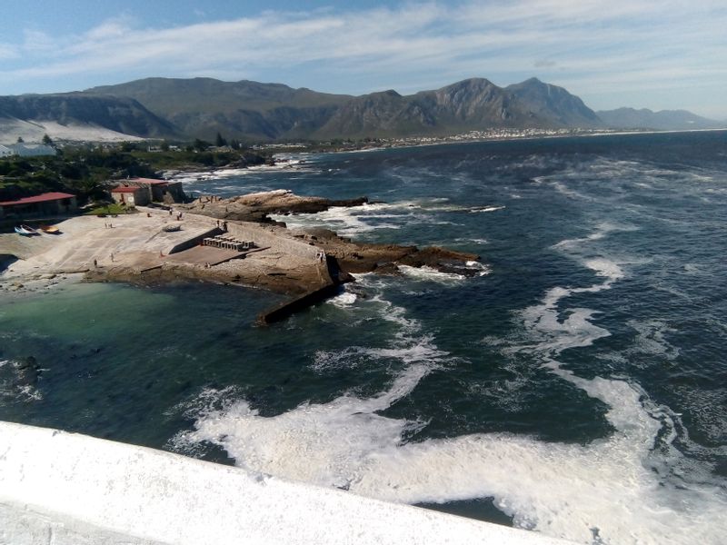 Cape Town Private Tour - Hermanus