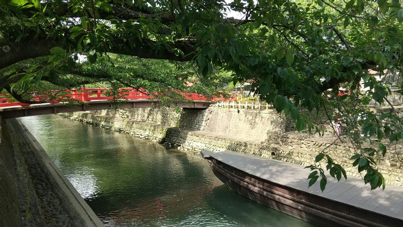 Gifu Private Tour - Let's enjoy walking along the beautiful canal!