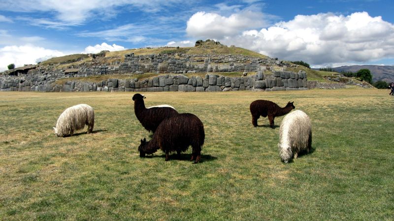 Cusco Private Tour - null