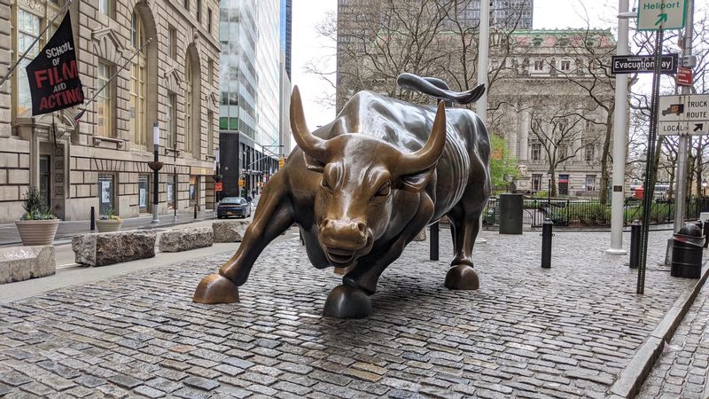 New York Private Tour - Charging Bull (D5)