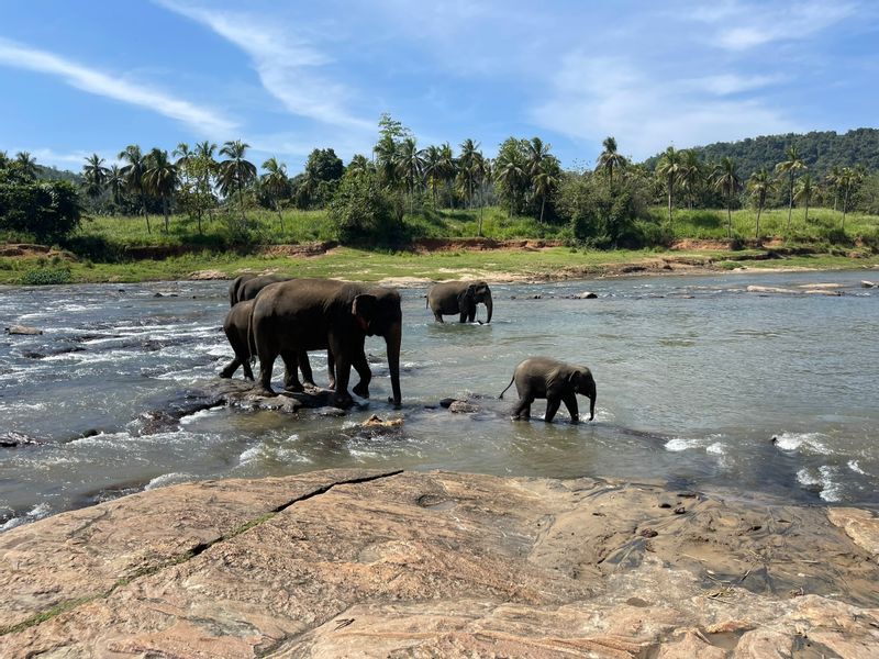 Kandy Private Tour - null