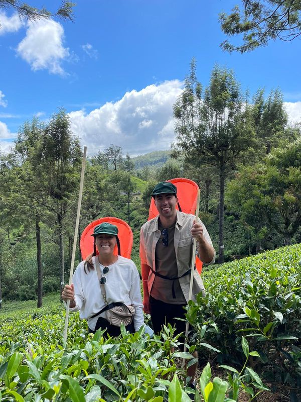 Kandy Private Tour - Tea Estates