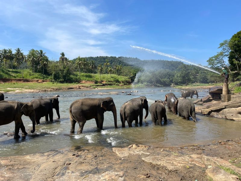 Kandy Private Tour - null