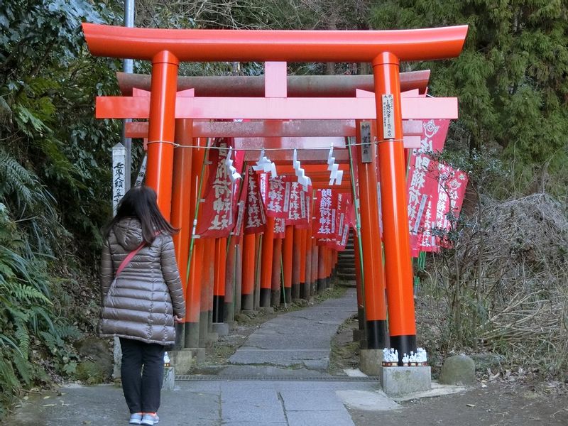 Kamakura Private Tour - Sasuke Inari Shrine