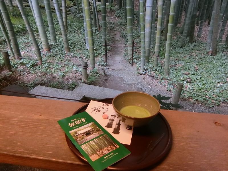 Kamakura Private Tour - Bamboo Temple