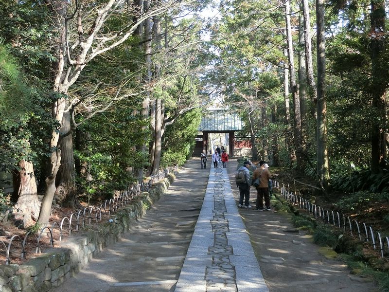 Kamakura Private Tour - Kamakura town walking