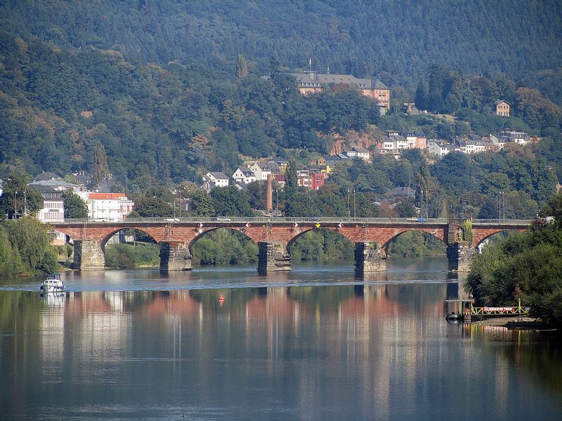 Trier Private Tour - Roman bridge