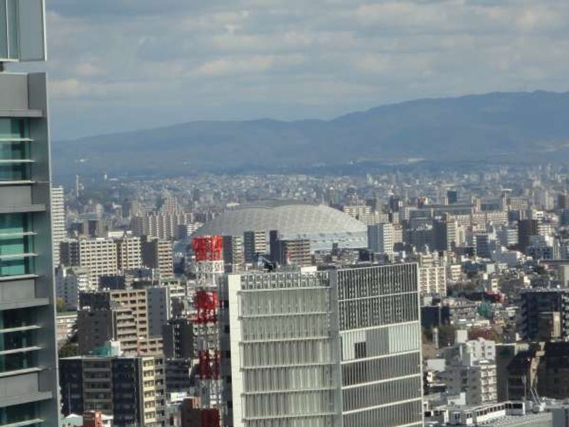 Nagoya Private Tour - Nagoya Dome viewed from Nagoya TV Tower