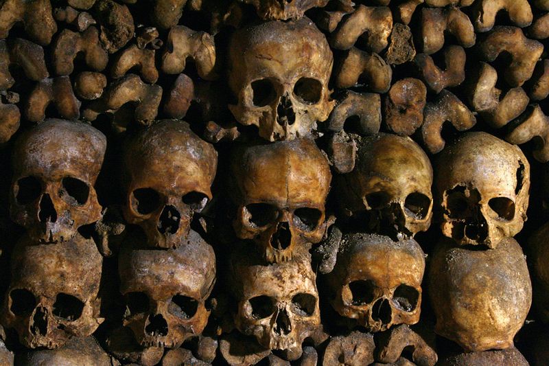 Paris Private Tour - A wall of bones in the catacombs museum, Paris, France