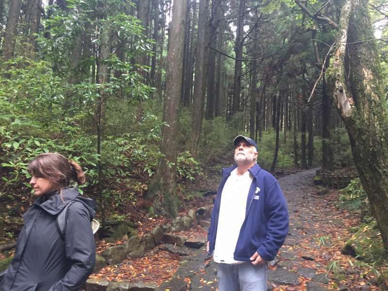 Hakone Private Tour - Stone paved old route 1.