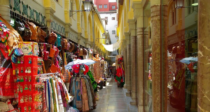 Granada Private Tour - Old Silk Market