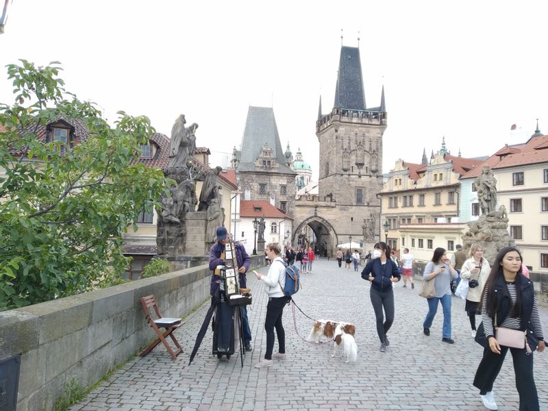 Prague Private Tour - Charles Bridge ussually