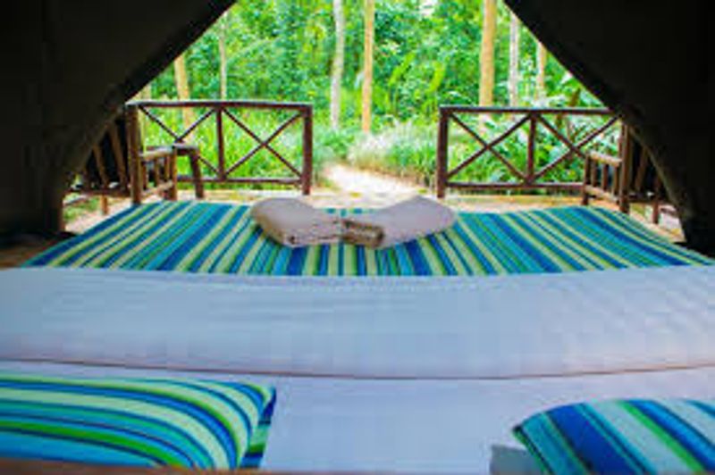 Kampala Private Tour - This is where you will spend the night while looking at nature