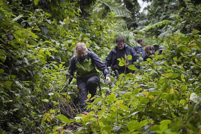 Kampala Private Tour - Tourist ready to trek mountain gorillas.