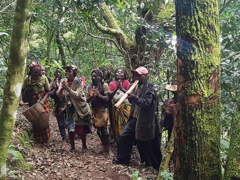 Kampala Private Tour - Visit the batwa community people who still live in the primitive way of life in bwindi forest national park.