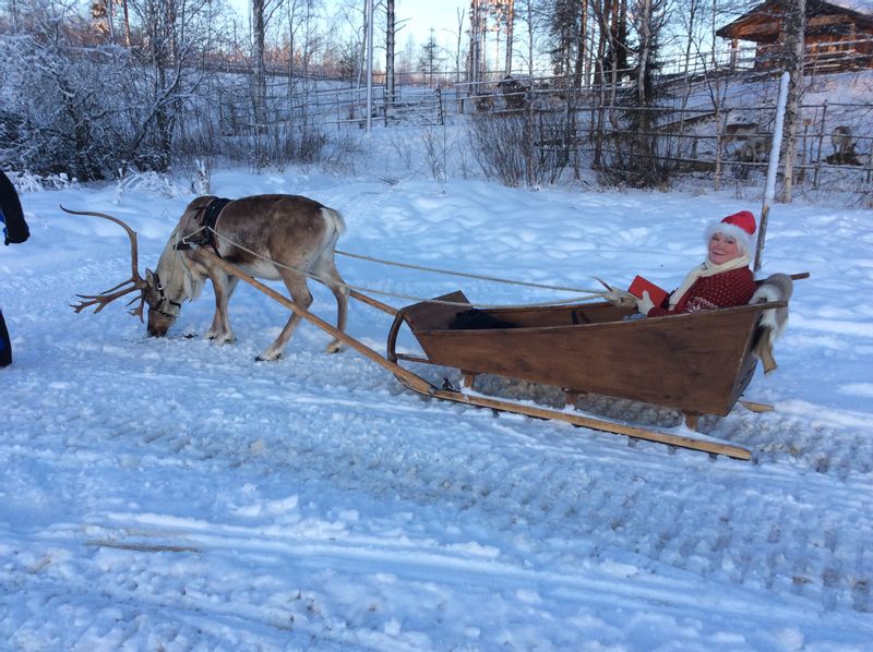 Southern Finland Private Tour - Santa travels with a sledge and a reindeer named Petteri (NOT RUDOF!!)