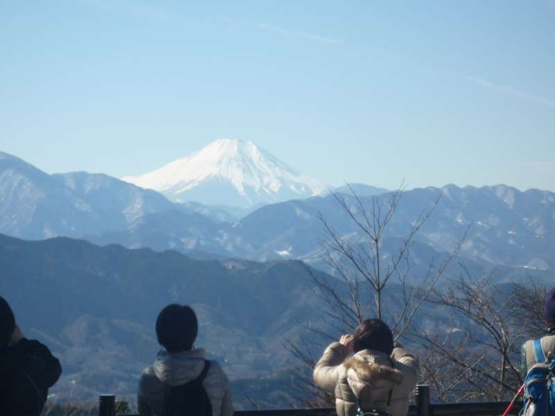 Tokyo Private Tour - Great view of Mt. Fuji.