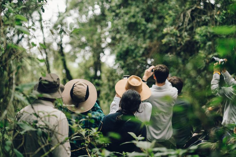 Kampala Private Tour - Bird Watching will give you the best experience