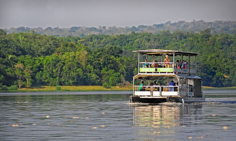 Kampala Private Tour - enjoy your boat cruize while enjoying the wildlife.