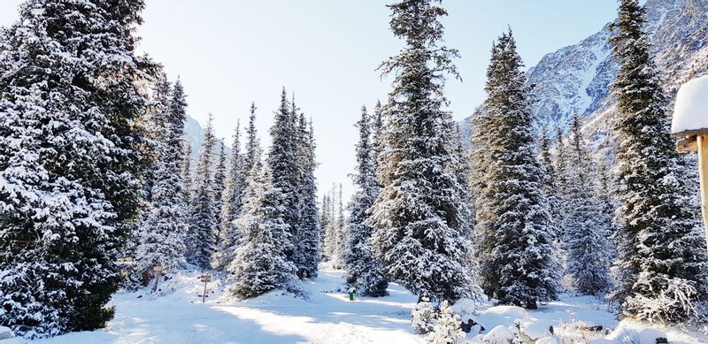 Bishkek Private Tour - Ala-Archa National park in winter