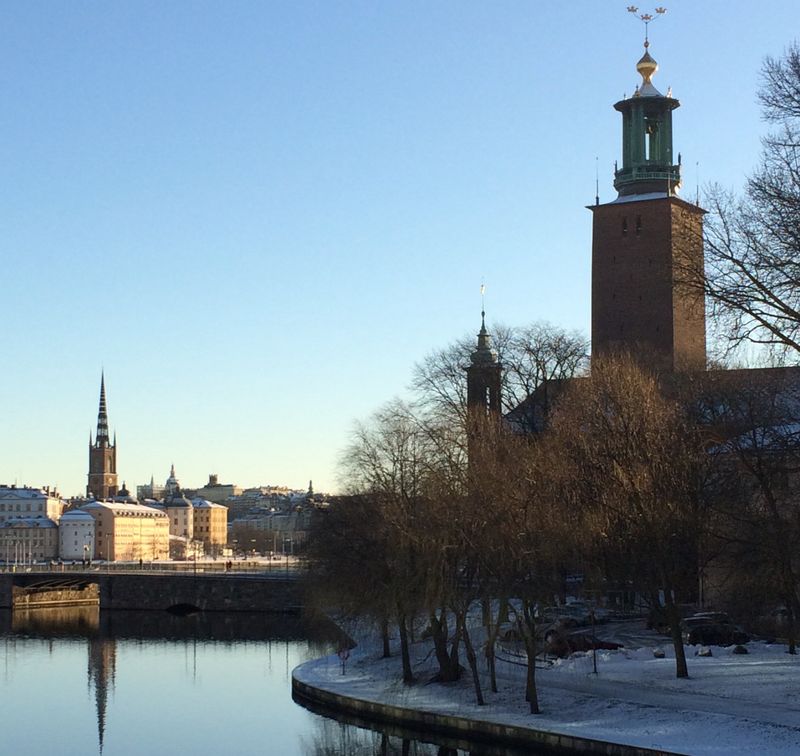 Stockholm Private Tour - The City Hall and Gamla Stan in winter