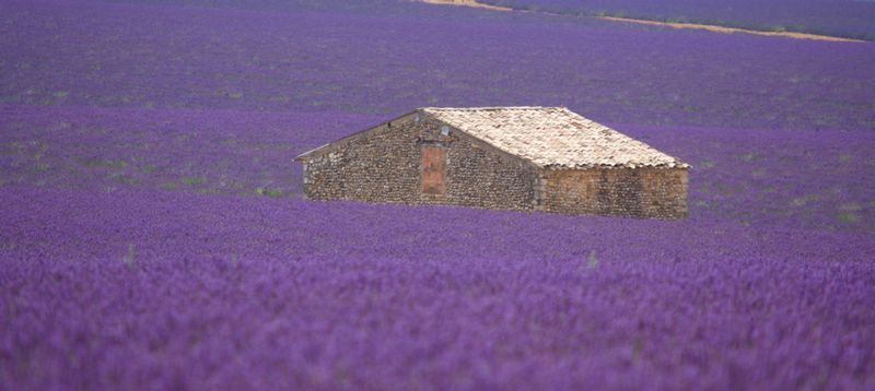 Provence-Alpes-Cote d'Azur Private Tour - null