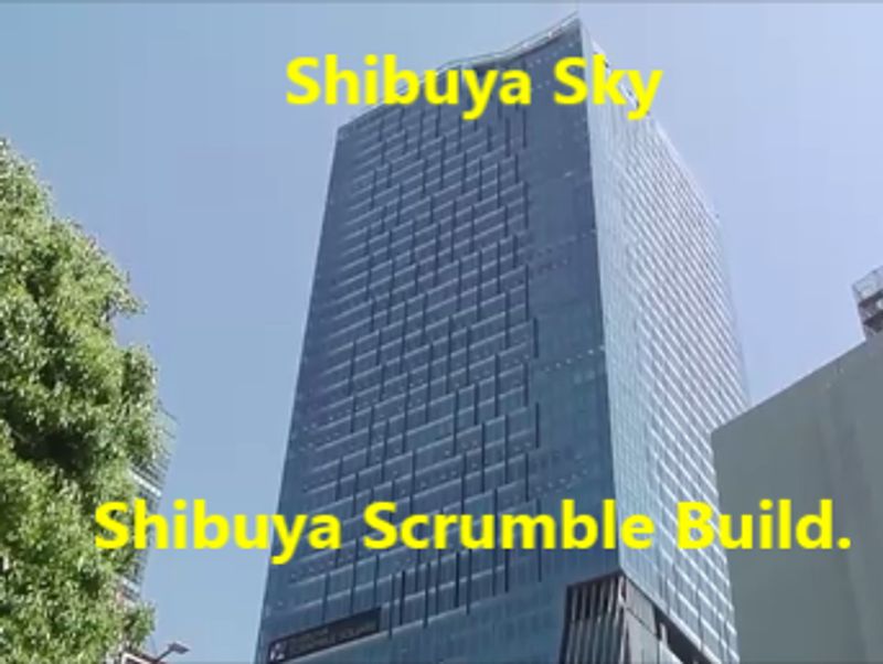 Tokyo Private Tour - O5. Shibuya Sky (Shibuya Scramble Square Build.)