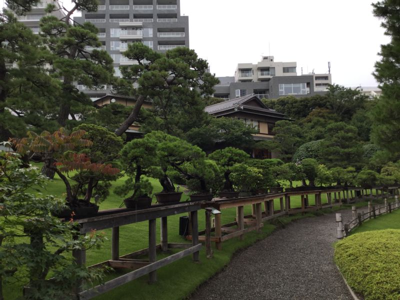 Tokyo Private Tour - G7. Happo-En Garden (Display of Bonsai Trees)