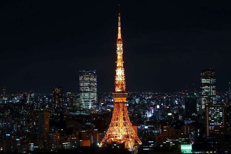 Tokyo Private Tour - O2. Tokyo Tower (Night view)