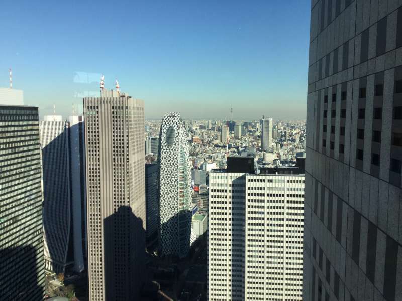 Tokyo Private Tour - O3. Tokyo Metropolitan Government Observatory (Its view from 200 m)