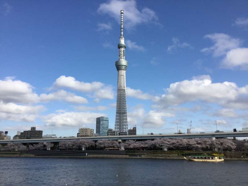 Tokyo Private Tour - O1. Tokyo Sky Tree (634 m, the highest tower in Japan)