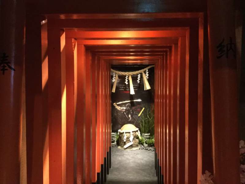 Tokyo Private Tour - E1. Ninja Experience (Torii gate entrance)