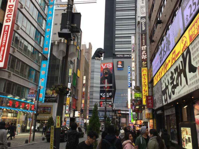 Tokyo Private Tour - S4. Shinjuku Kabukicho (Godzilla road, Godzilla head at the top of a building)