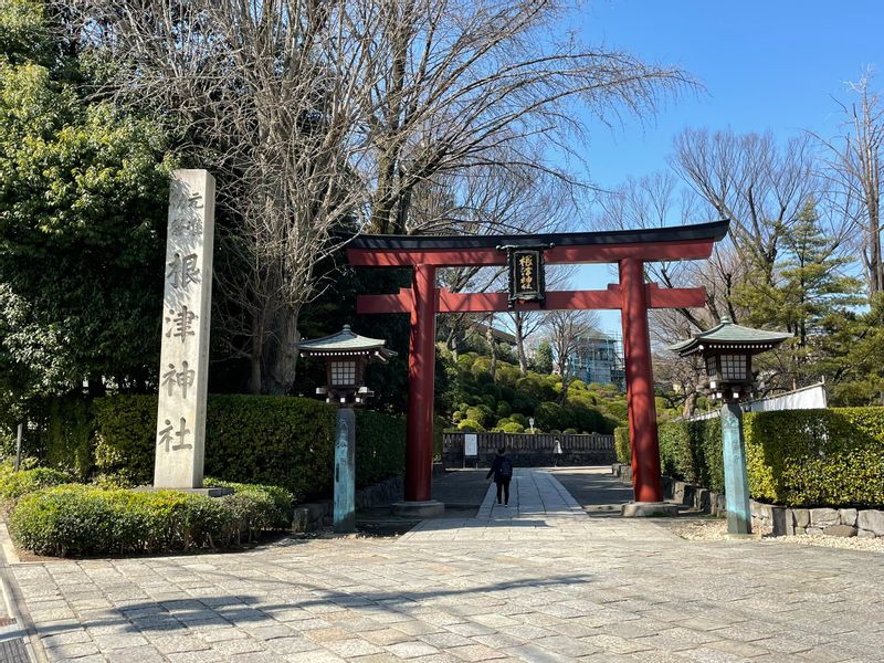 Tokyo Private Tour - T9. Nezu Shrine (Torii Gate at the entrance)