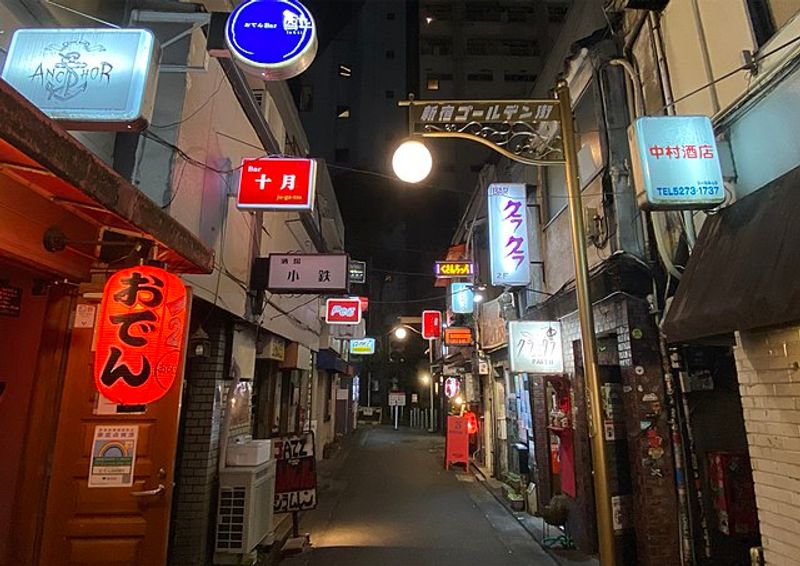 Tokyo Private Tour - E4. Golden Gay (Typical street)
