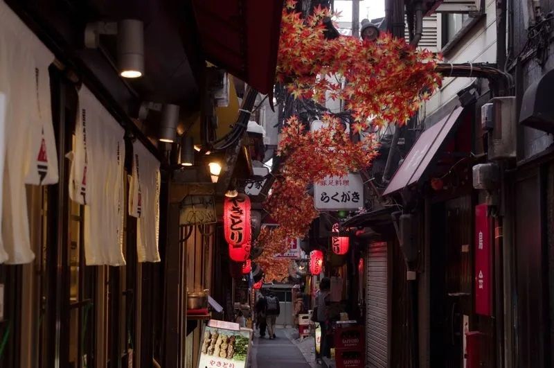 Tokyo Private Tour - E4. Memory Lane (Typical street)