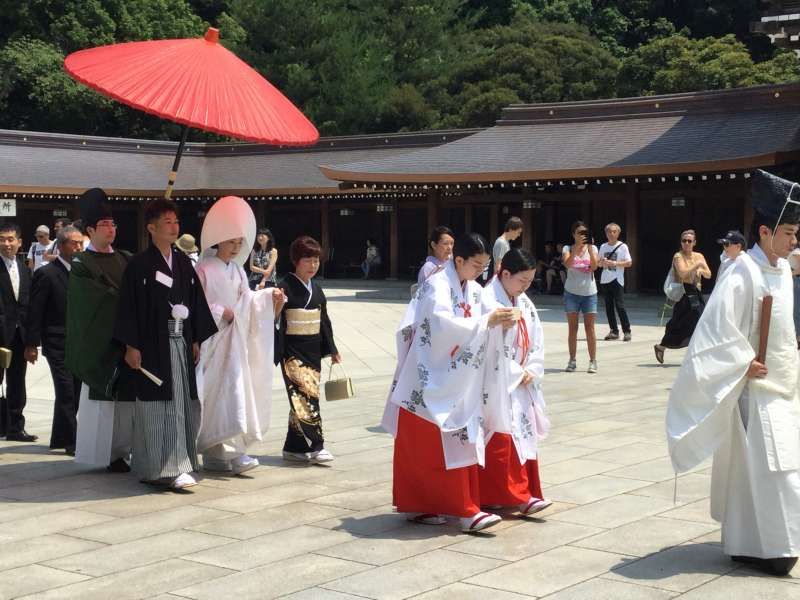 Tokyo Private Tour - T1. Meiji-Jingu Shrine (Wedding ceremony)