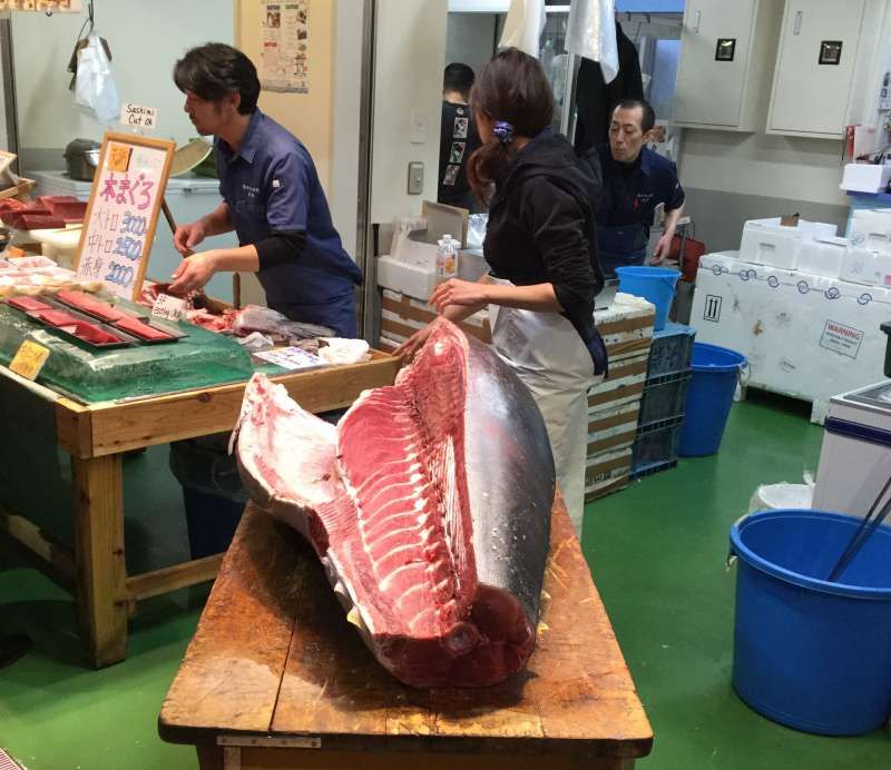 Tokyo Private Tour - S1. Tsukiji Outer Market (cut of a big tuna)