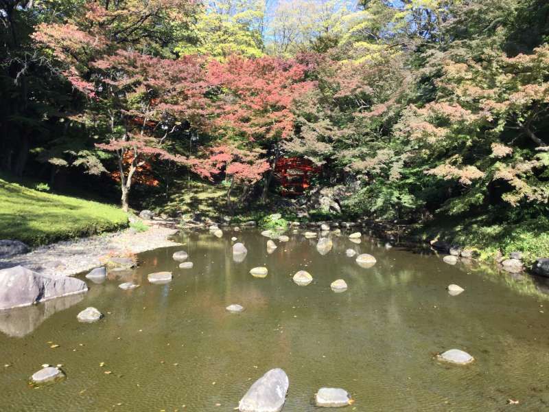 Tokyo Private Tour - G2. Koishikawa Korakuen Garden (Autumn color around Tsuten bridge)