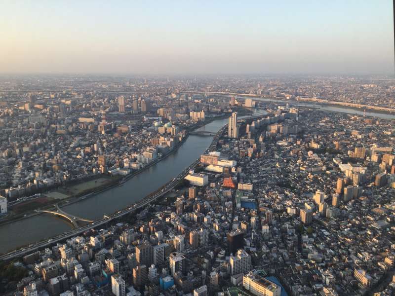 Tokyo Private Tour - O1. Tokyo Sky Tree (from the observatory at 350 m)