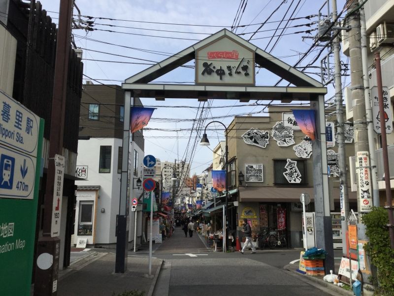 Tokyo Private Tour - S8. Yanaka Ginza (Entrance gate)