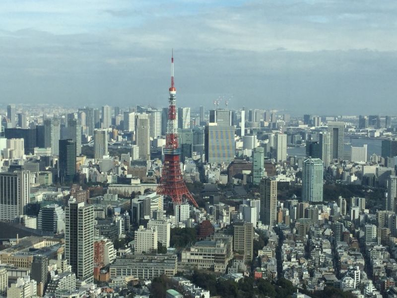 Tokyo Private Tour - O4. Roppongi Hills Observatory (View from Tokyo City View from 270 m)