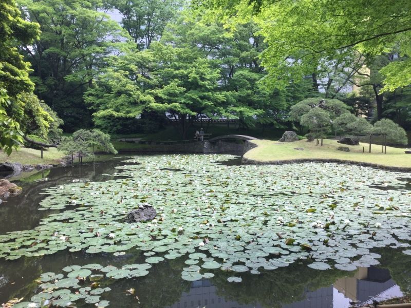 Tokyo Private Tour - G2.  Koishikawa Korakuen Garden (Inner garden)