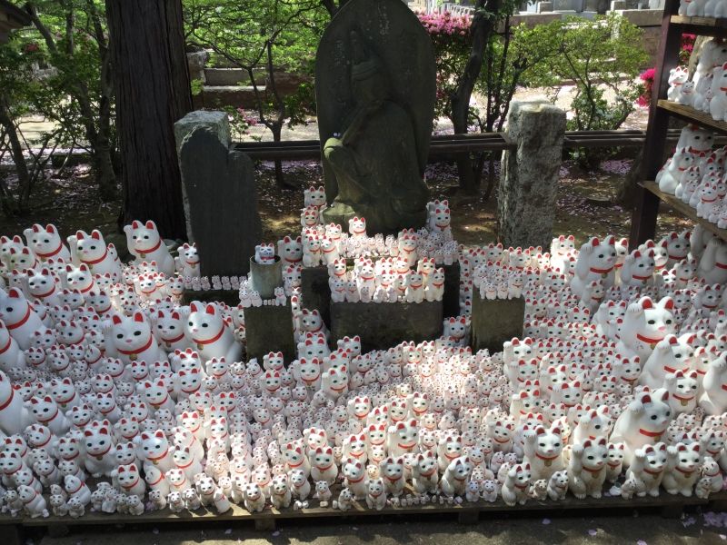 Tokyo Private Tour - T7. Gotoku-Ji Temple (Famous statues of welcome cat for good business)