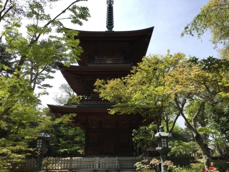 Tokyo Private Tour - T7. Gotoku-Ji Temple (Three story Pagoda)