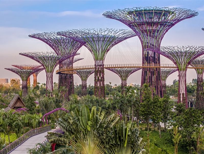 Singapore Private Tour - Supertrees at Gardens by the Bay