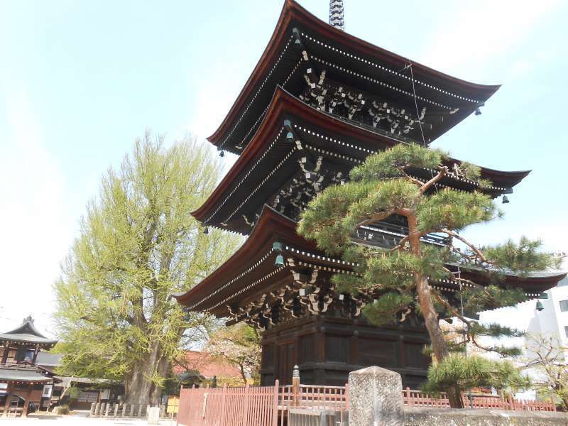 Gifu Private Tour - Kokubunji temple pagoda