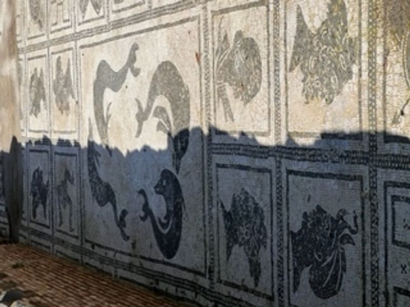 Rome Private Tour - Mosaic of the Provinces